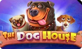Onestep – The Dog House